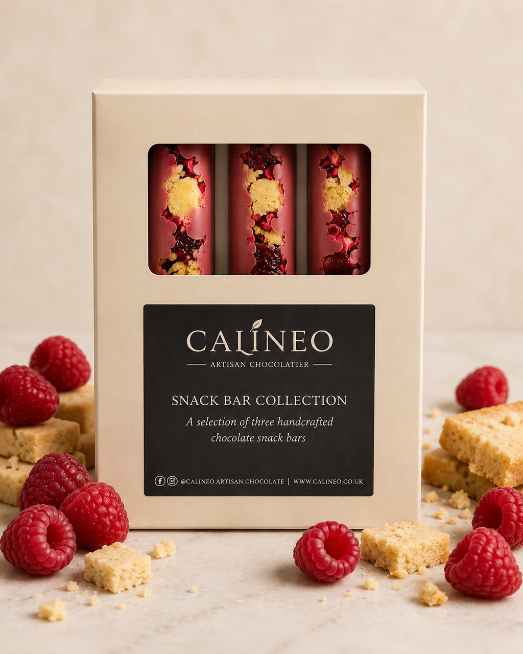 Raspberry Jelly, Shortbread, Ruby Chocolate Luxury Chocolate Snack Bar Selection – Box of 3