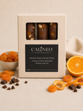 Apricot, Orange & Almond Luxury Chocolate Snack Bar Selection – Box of 3